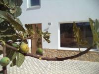 Casa do Tonel - B&B Sagres