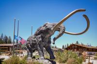 Mammoth Ski & Racquet 124 - Bed and Breakfast Mammoth Lakes
