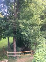 Chambre Double Deluxe avec Baignoire