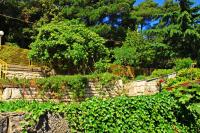 Large Terrace Apartment - Ferienwohnung Korčula