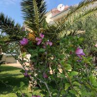 Villa Olive Grove Ferienhaus in Kroatien direkt am Meer nahe Zadar und Nin - Chambres d'hôtes Privlaka