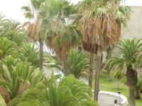 Beach-front Tenerife Sth sea and pool view - Ferienwohnung