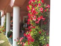 Maria Apartman - B&B Hévíz