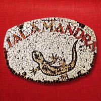 Salamandra Guest House - B&B Arraial d'Ajuda