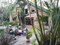 Tucked away in the tree tops - B&B