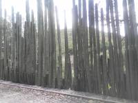 Casa de Cactus - B&B Bernal