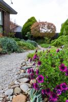 Modern & homely comfort - B&B