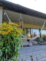 Vila El Privato - B&B Palanga