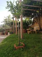 B&B Domus Deiana - B&B