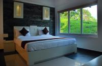 Super Deluxe Double Room with tea Plantation view