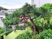 Happy Garden Guesthouse - B&B Seúl