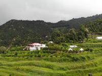 Enchanted Hills Farmstay - B&B Muktesra