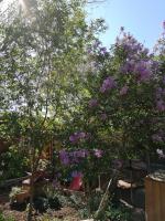 Hostal Apuwara - B&B