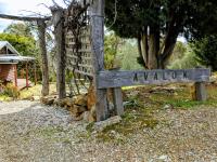 Avalon Private Spa Villa with Beautiful Tree Views