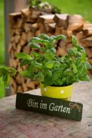 Gartenstudio Waldblick - B&B Schwarzenberg