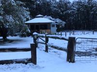 Yurt + Shepherd's Hut