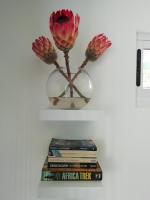Shells Corner Cottage - B&B