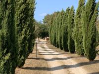 CASALE AL LAGO con PISCINA E SAUNA - B&B Corbara