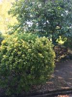 chambre double avec salle de bain privative - B&B Cognac