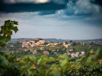 I Quattro Grappoli - B&B Neive