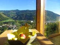 Panorama Apartment Bauernhof Mandl - Chambres d'hôtes Murau