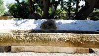 Casale Cappuccio Apartments - B&B