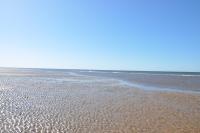 Driftwood Cottage pets go free WiFi included - B&B Hunstanton