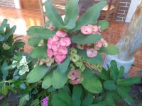 Habitación Doble Económica