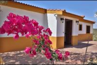 Finca la cigarra - B&B