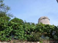 Valverde Guest House - B&B