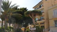 El Molino Atico - Ferienwohnung