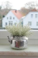 Appartement met 2 slaapkamers