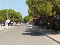 The Yellow House IUN P3446 - Chambres d’hôtes Torre Grande