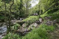 Appartamento con Vista Montagna