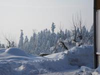 Habitación Cuádruple con baño compartido y vistas al jardín