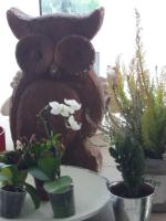 Villa los Angeles Piscine privée 16 pers - B&B San Mateo