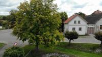 Five-Bedroom House
