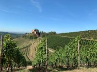 Ferienhaus Laura - B&B Renchen