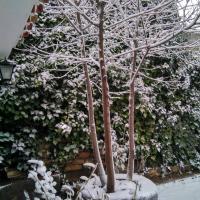 Casa Unifamiliar de 3 dormitorios