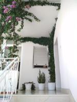 Apartmani Carević - Chambres d’hôtes Baška Voda