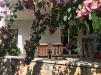 Pine and Lime Apartments - B&B Pula