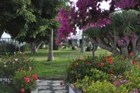 Sahara Beach Club - B&B