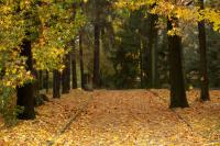 Sant'Anna - Ferienwohnung Somma Lombardo