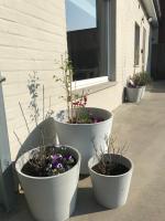 Holiday home De Levensgenieter - B&B Torhout