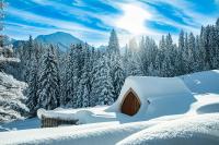 Wuerttemberger Haus - Hütte - Bed and Breakfast Hirschegg