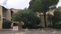 T2 Rez de jardin 300m Plage de Beaucours Sanary sur Mer - Chambres d'hôtes Sanary-sur-Mer