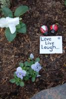 A La Martha's Air-Port Guest House - B&B Port Elizabeth