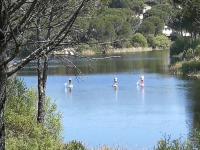 CABAÑA DE MADERA JUNTO AL LAGO LAS JARAS