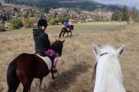 B&B Koprivchtitsa - Dona Guest House - Horse Riding - Bed and Breakfast Koprivchtitsa