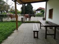 Ferienwohnung Schmied 1 - B&B Aurach am Hongar